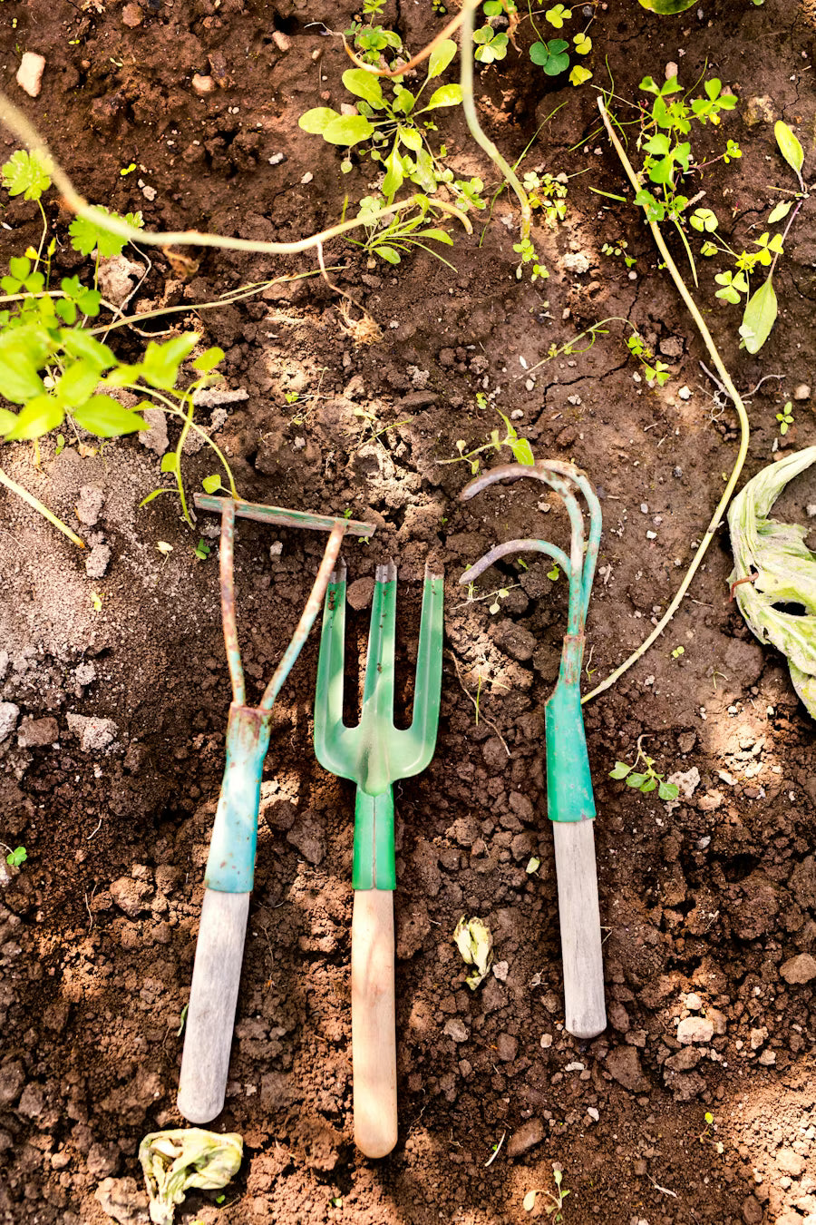 Hand Tools