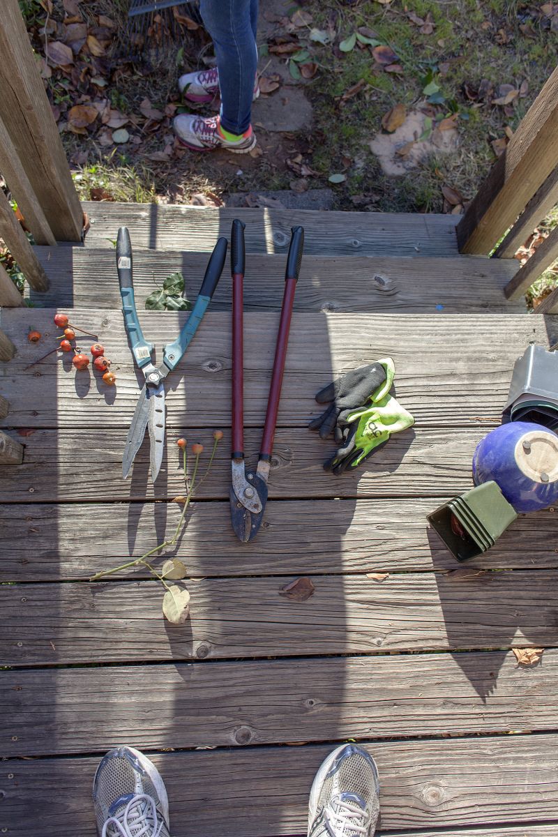 Pruning Tools