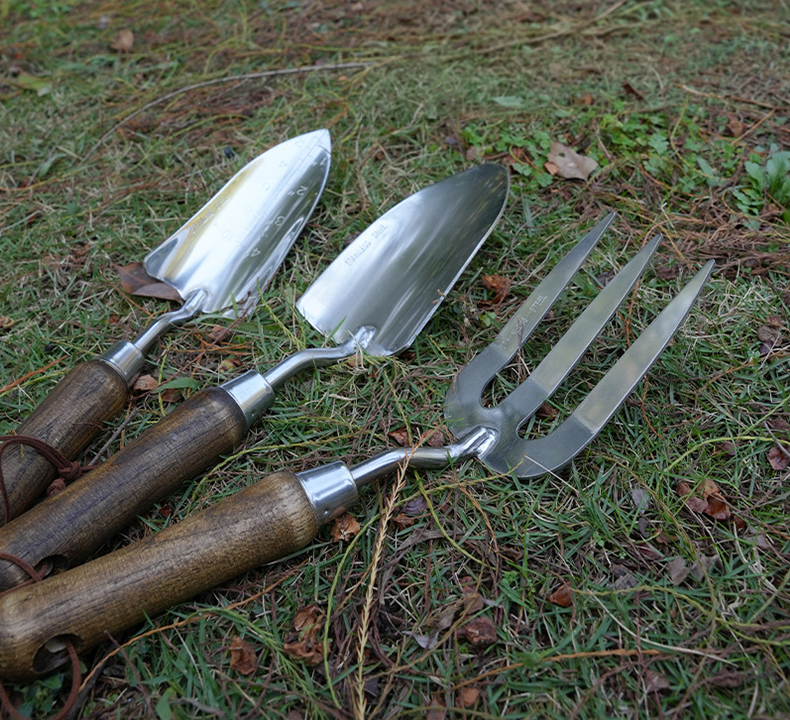 Transplanter