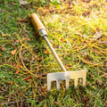 Hand Cultivator(5-Prong)