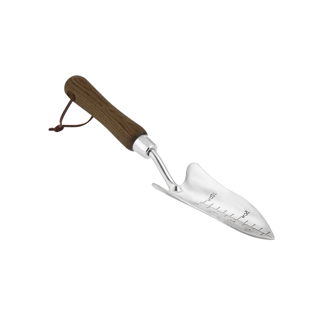 Transplanter